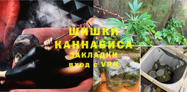 дурь Арсеньев