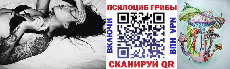 ОМГ ОМГ вход  Михайлов  Галлюциногенные грибы Cubensis 