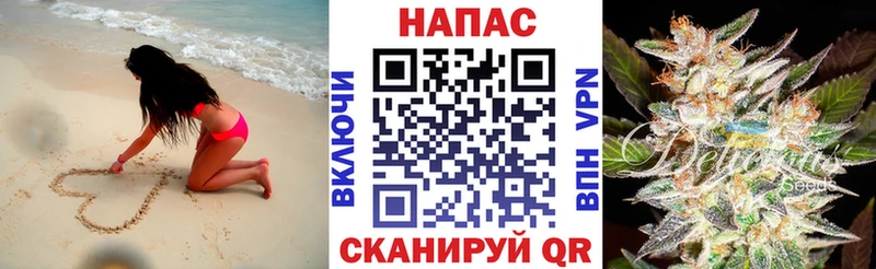 это официальный сайт  Михайлов  Бошки Шишки планчик  где найти  